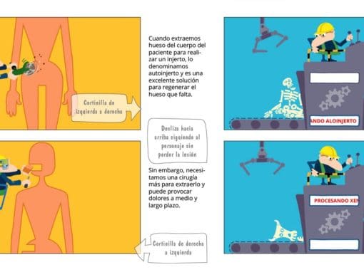 Animated video storyboard for Mimetis